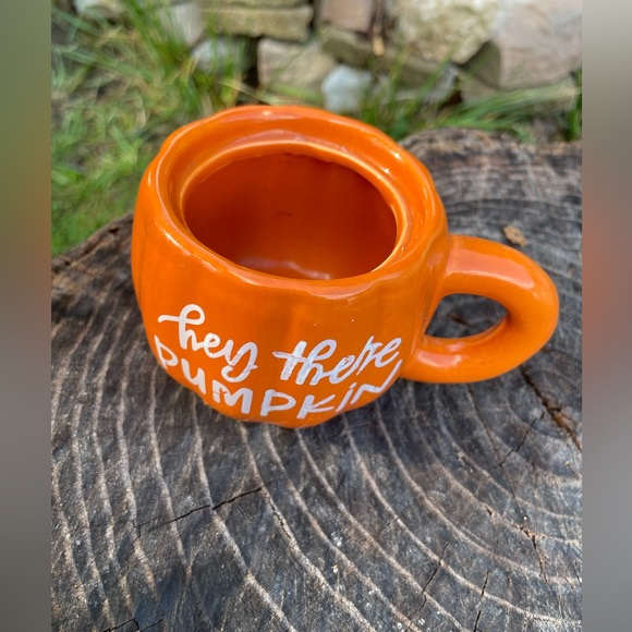 Pumpkin Planter - Picture 7 of 9